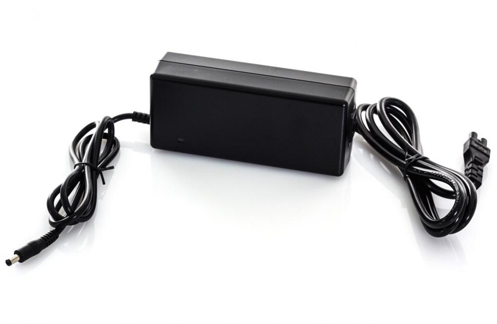 Dillenger 36V Li-Ion Charger